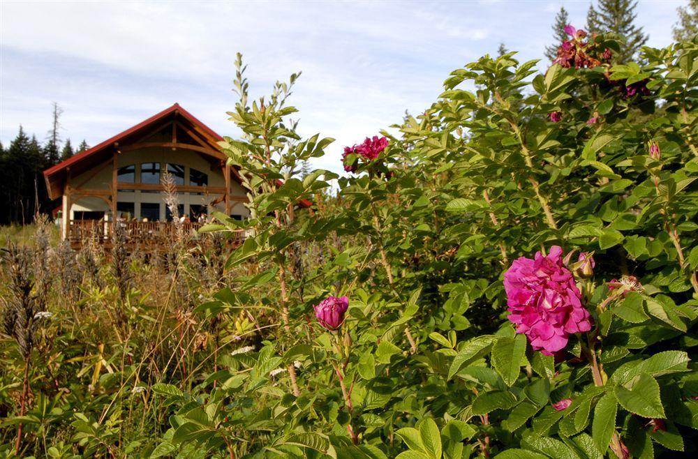 Heather Mountain Lodge Rogers Pass Eksteriør billede